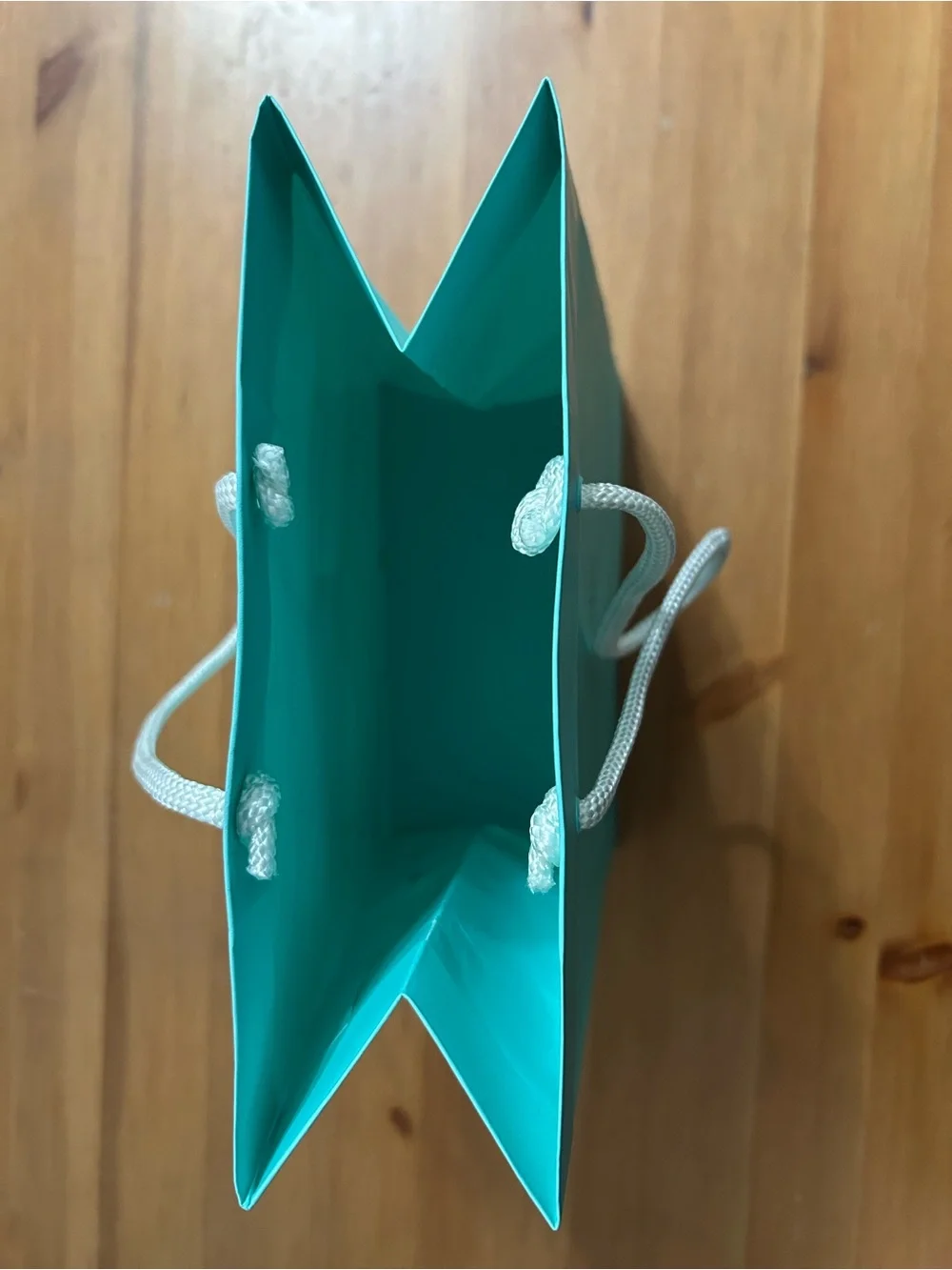 Tiffany & Co. gift bag